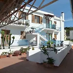 Cesotta 3*