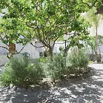 Hotel Cesotta 3*