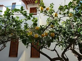 Hotel Cesotta 3*