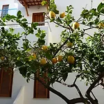 Cesotta 3* Forio di Ischia