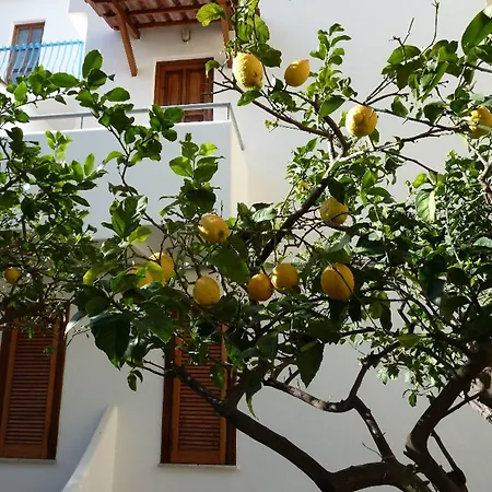 Cesotta 3* Forio di Ischia