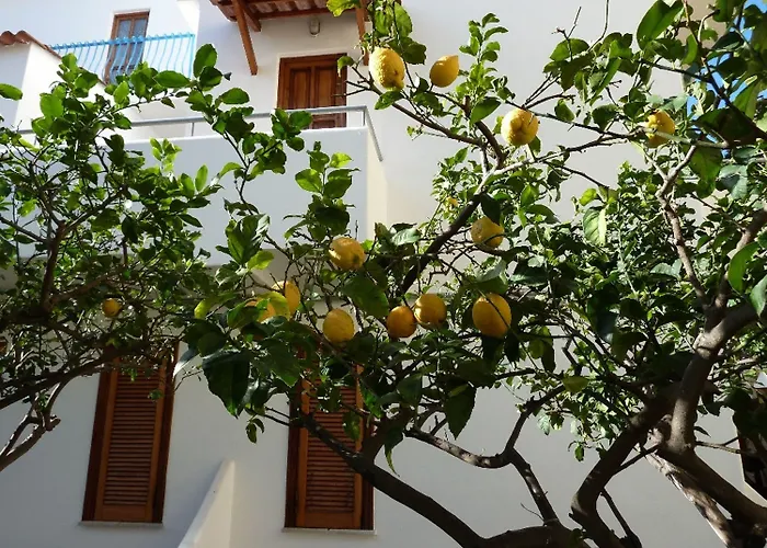 Cesotta 3* Forio di Ischia